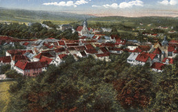 Blick von der Hofleite auf Suhl, um 1920