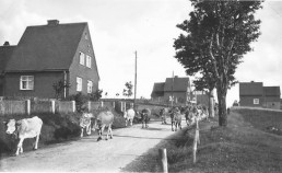 Frauenwald, um 1930