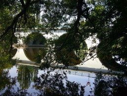 Blick auf die Brücke über die Saale