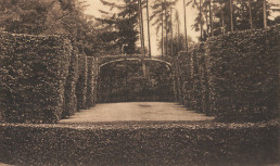 Naturtheater im Schloßpark Belvedere