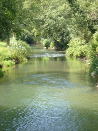 Blick auf die Ilm