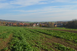 Blick auf Kromsdorf