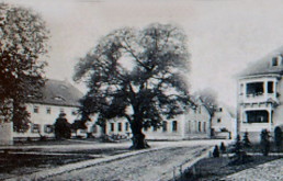 Niedertrebra, Kirchplatz, um 1920