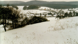 Bauerbach im Winter