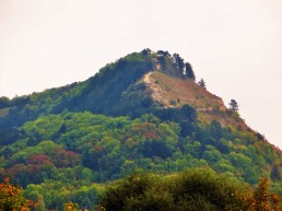 Blick zum Jenzig