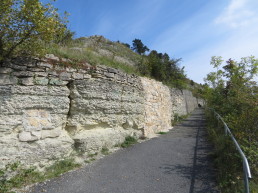 Weg auf den Jenzig - Abstieg