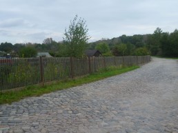 Bereich des Gartenvereins, wo Hilbigs Großvater seinen Garten besaß, im Hintergrund rechts das beginnende Auholz, 2014