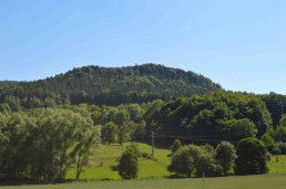 Blick auf den Uhufelsen von Eichfeld