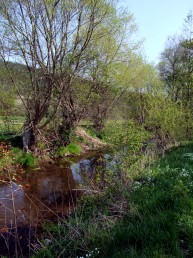 Die Zahme Gera nahe dem Neusisser Berg