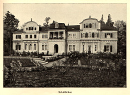 Schloss Tannenfeld, um 1910