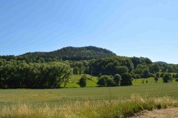 Blick auf den Uhufelsen von Eichfeld