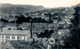 Blick auf das Rudolstädter Villenviertel und den Uhu