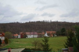 Springen, Ortsansicht