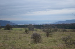 Auf dem Windknollen