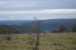 Auf dem Windknollen