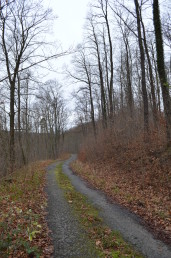 Weg nach Tautenburg