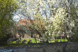 Friedhof mit Blick zur Kirche