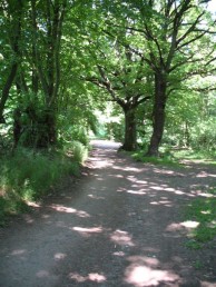 Auf dem Weg zur Wartburg