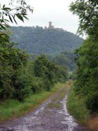 Die Mühlburg aus der Ferne