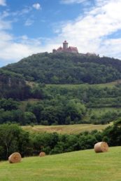 Blick auf die Wachsenburg von der Schlossleite