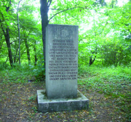 Sera-Stein auf der Hohen Lehre