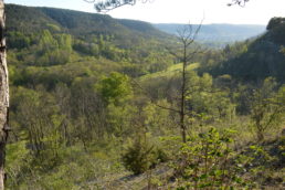 Blick ins Pennickental