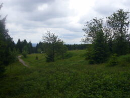 Blick auf den Jägerstein