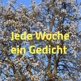 Jede Woche ein Gedicht