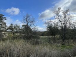 Landschaft bei Klipphausen