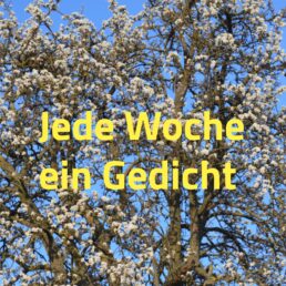 Jede Woche ein Gedicht