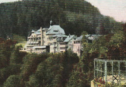 Hotel »Weißer Hirsch« um 1908