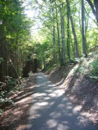 Skulpturen am Schillerweg nach Untermaßfeld