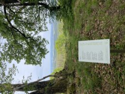 Oppidum auf dem Kleinen Gleichberg